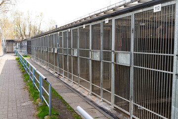 Exterior view of animal shelter kennels showing multiple metal cages. Dog rescue facility with numbered outdoor kennels and fencing. Animal shelter with caged kennels for stray and rescue dogs.