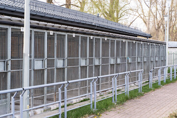 Exterior view of animal shelter kennels showing multiple metal cages. Dog rescue facility with numbered outdoor kennels and fencing. Animal shelter with caged kennels for stray and rescue dogs.