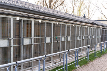 Dog rescue facility with numbered outdoor kennels and fencing. Animal shelter with caged kennels for stray and rescue dogs. Exterior view of animal shelter kennels showing multiple metal cages.