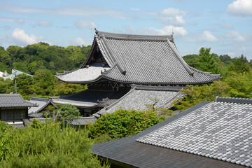 新緑の哲学の道　光雲寺遠景　京都市左京区