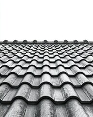 Patterned grey tiled roof recedes to white sky