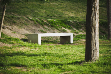 Minimalist concrete bench in lush green park surrounded by trees