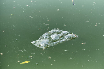 Floating plastic waste in polluted green water