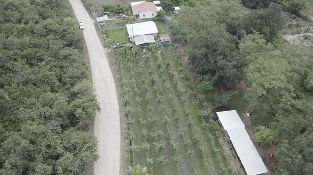 Vista a&eacute;rea con dron de parcela agr&iacute;cola en  Guatemala, mostrando reservorio de agua y diversos cultivos frutales.