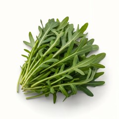 Fototapeta premium Fresh green arugula salad leaves bundle