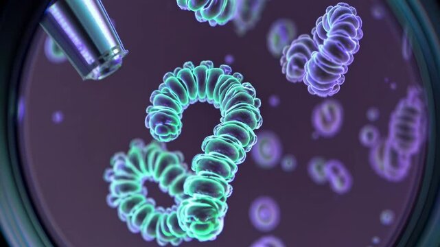 Explore vibrant microscopic life in the lab with swirling bacteria captured under ultraviolet light