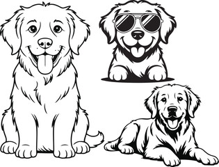 Funny golden retriever dog