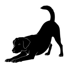 Playful black dog silhouette in a classic play bow stretching pose