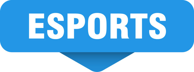 esports sticker. esports sign on transparent background © BHM