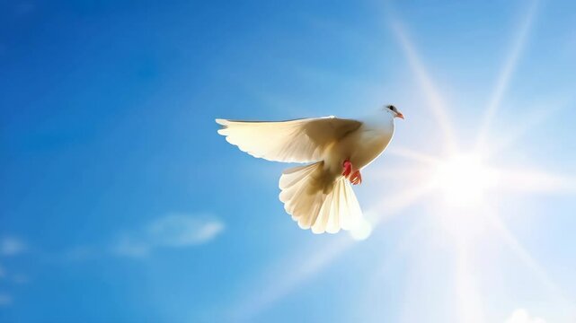 White dove in flight against clear blue sky with bright sunlight, wings blurred in motion conveying serenity and hope.