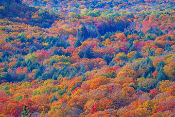 Vivid Autumn Colors in the Porcupine Mountains