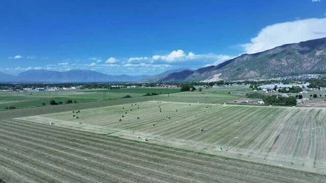 Aerial farm fruit orchard Utah mountain valley pull 1 4K. Orchard, farms and rural ranch property. Lake used for irrigation and recreation. Rural landscape in mountain valley. Agricultural. 