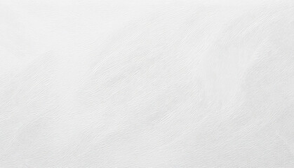 Obraz premium A Plain White Texture