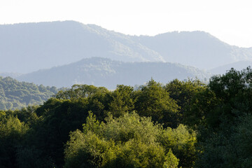 Misty blue mountains layered in soft light over treetops, captured in serene atmosphere perfect for...