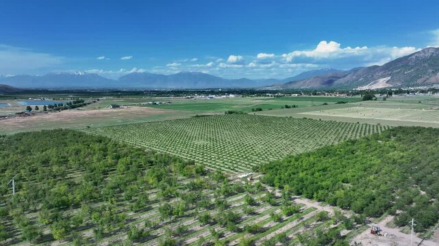 Aerial lake farm fruit orchard Utah mountain valley 2. Orchard, farms and rural ranch property. Lake used for irrigation and recreation. Rural landscape in mountain valley. Agricultural. 