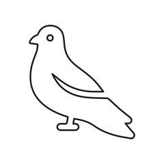 Dove bird line icon