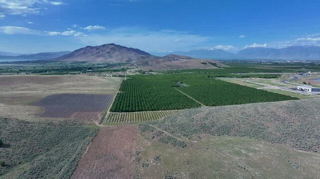 Aerial farm fruit orchard mountain valley Utah 1 4K. Orchard, farms and rural ranch property. Lake used for irrigation and recreation. Rural landscape in mountain valley. Agricultural. 