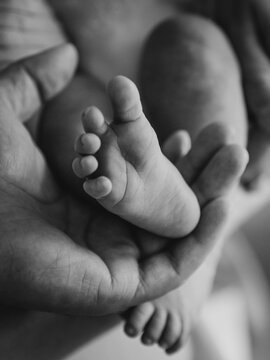 Small feet of a newborn in the hands of a parent: an intimate, black and white portrait