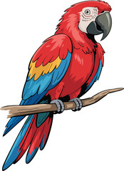 Fototapeta premium Cute cartoon a illustrator vector Macaw