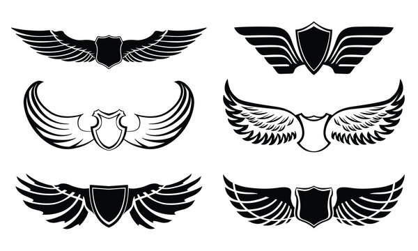 Vector wing set illustration with flying bird and angel feather design