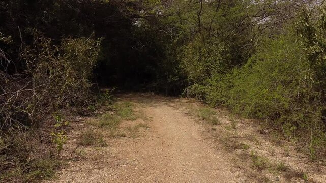 Drone shot an abandoned road, with vegetation around it, on a mountain with nearby beaches. forward and backward movements. recorded at 60 FPS