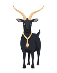 Farm Goat Wearing Fancy Neckband