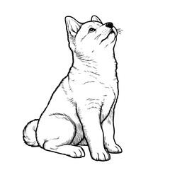 Adorable Puppy  A Black and White Line Drawing of a Cute Dog Sitting and Looking Up