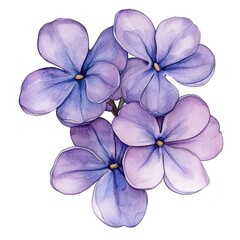 Purple Watercolor Lilac Bouquet