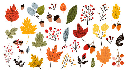 Obraz premium Hand-Drawn Autumn Leaves and Berries Vector Set Perfect for Fall Designs