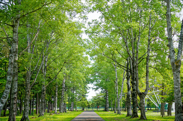 帯広市の緑が丘公園