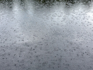 rain drops falling on a lake