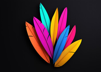 Colorful feathers on black background