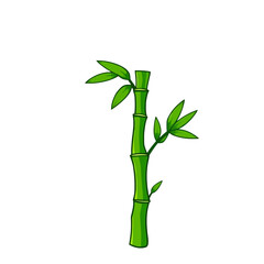 Single bamboo shoot illustration isolated on white background