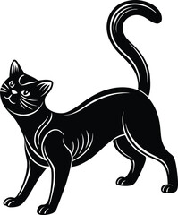 black and white cat