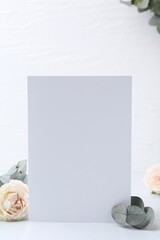 Blank greeting card, eucalyptus leaves and roses on white background, closeup