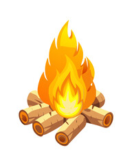fire in a wood