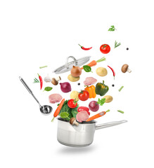 Fresh vegetables, meat and saucepan in air against white background