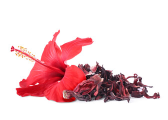 Red hibiscus flower and dried calyces on white background © New Africa