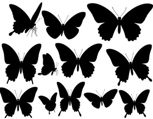 Fototapeta premium Silhouettes of various butterflies