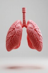 Detailed 3D model of healthy human lungs anatomical structure