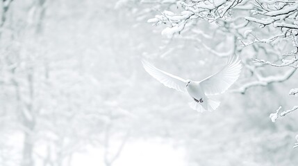 White Dove Flying Through Snowy Winter Forest