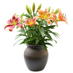 Lily Bouquet In Vase.  Floral Composition On White Background. Colorful Flowers For Design Elements.