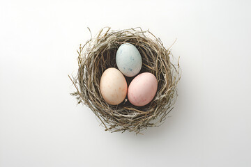 Natural Nest of Eggs in a Serene Setting