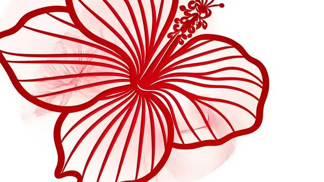 Elegant hibiscus flower illustration with graceful red lines against a white backdrop