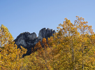 The jagged mountain top of Seneca Rocks, West Virginia, framed by trees in vibrant fall colors and a clear blue sky