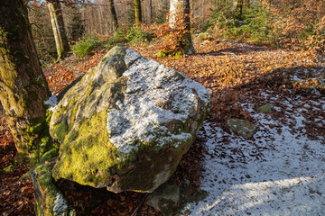 Mossy boulder with snow patches in a forest under sunlight