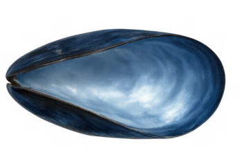 Empty blue mussel shell reflecting a cloudy sky, isolated on transparent background, ideal for seafood restaurant menus or nature illustrations