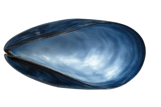 Empty blue mussel shell reflecting a cloudy sky, isolated on transparent background, ideal for seafood restaurant menus or nature illustrations