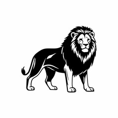 lion vector illustration