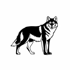Wolf vector illustration
